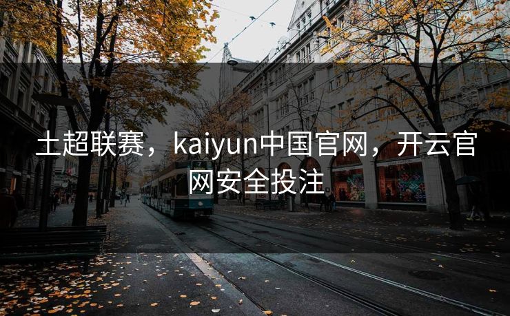 土超联赛，kaiyun中国官网，开云官网安全投注